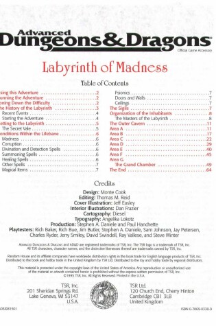 Cover of Labyrinth of Madness