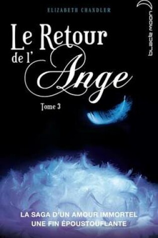 Cover of Le Retour de L'Ange 3