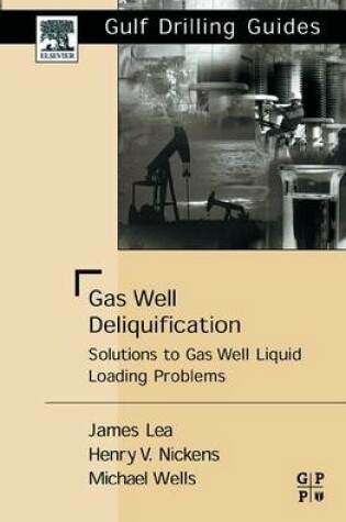 Cover of Gas Well Deliquification