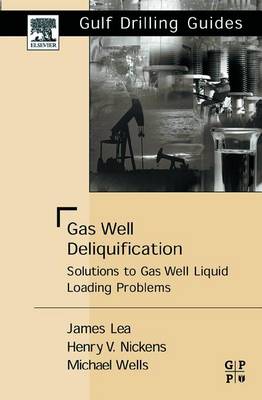 Book cover for Gas Well Deliquification