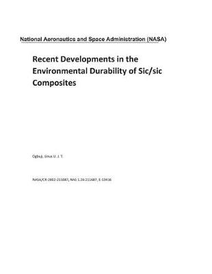 Book cover for Recent Developments in the Environmental Durability of Sic/Sic Composites