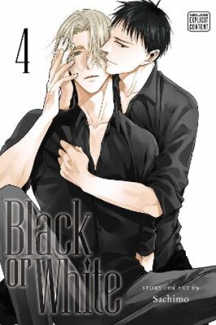 Cover of Black or White, Vol. 4
