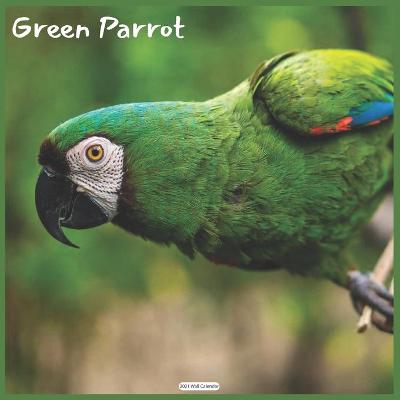 Book cover for Green Parrot 2021 Wall Calendar