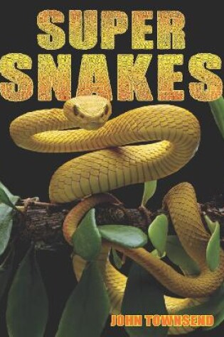 Cover of Super Snakes