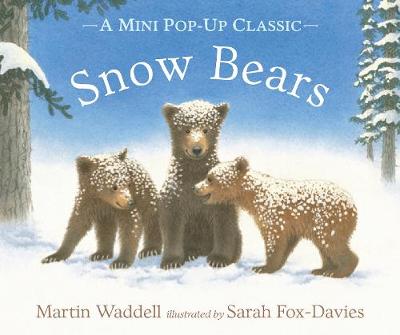 Book cover for Snow Bears