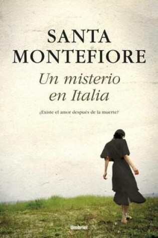 Cover of Un Misterio En Italia