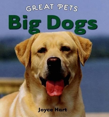 Book cover for Big Dogs