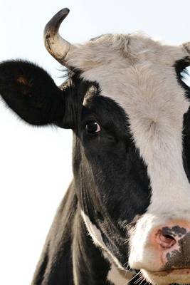 Book cover for A Black and White Milk Cow in a Meadow