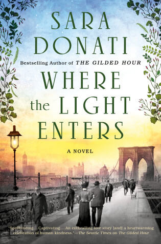 Cover of Where the Light Enters