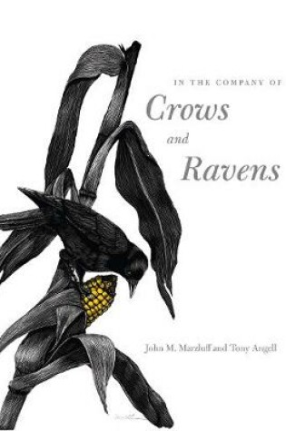Cover of In the Company of Crows and Ravens