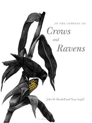 Book cover for In the Company of Crows and Ravens