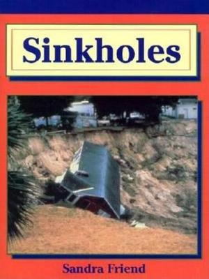 Book cover for Sinkholes