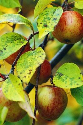 Book cover for Food Journal Apple Tree