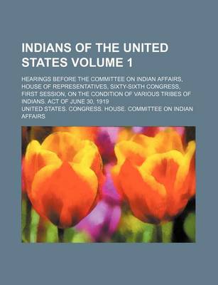 Book cover for Indians of the United States Volume 1; Hearings Before the Committee on Indian Affairs, House of Representatives, Sixty-Sixth Congress, First Session, on the Condition of Various Tribes of Indians. Act of June 30, 1919