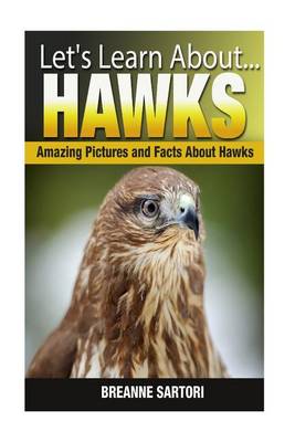 Book cover for Hawks