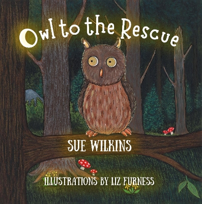 Book cover for Owl to the Rescue