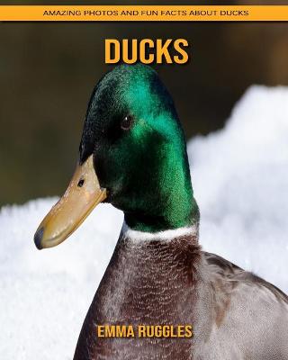 Book cover for Ducks