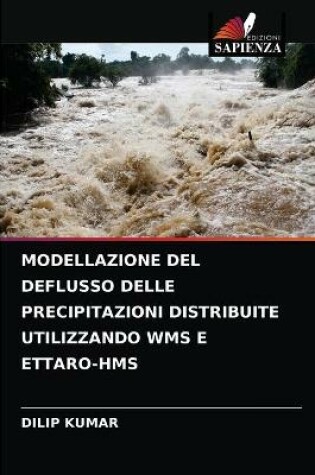 Cover of Modellazione del Deflusso Delle Precipitazioni Distribuite Utilizzando Wms E Ettaro-HMS