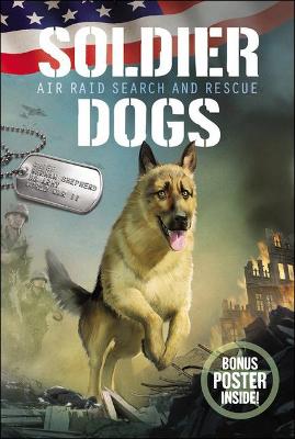 Cover of Air Raid Search and Rescue