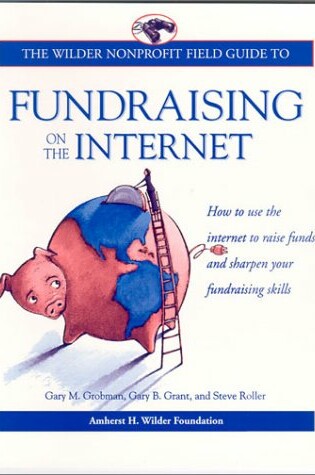 Cover of Fundraising on the Internet