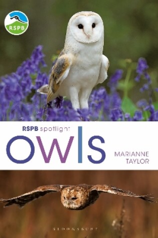 Cover of RSPB Spotlight Owls