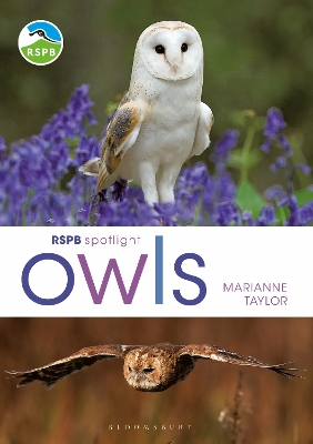 Book cover for RSPB Spotlight Owls