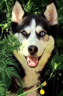 Book cover for Happy Smiling Siberian Husky Dog Pet Journal