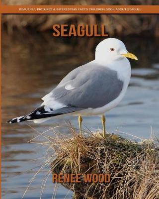 Book cover for Seagull