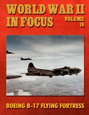 Book cover for World War II in Focus Volume 18