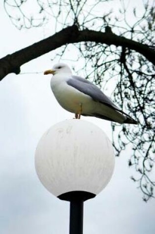 Cover of Seagull on a Lamp Post journal