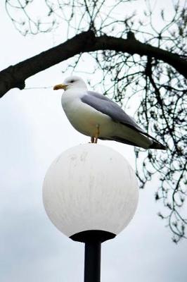 Book cover for Seagull on a Lamp Post journal