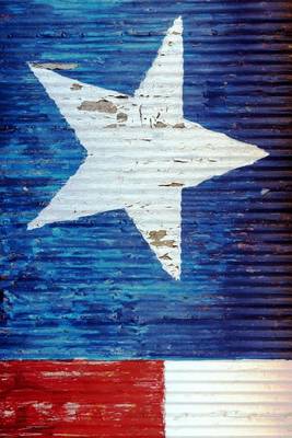 Book cover for Steel Barn with the Texas State Flag