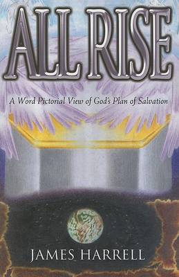 Book cover for All Rise