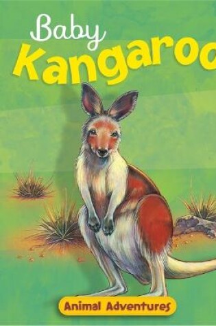 Cover of Baby Kangaroo