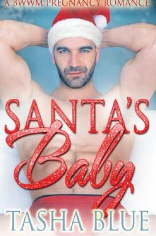Cover of Santa's Baby