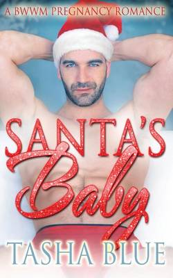 Book cover for Santa's Baby