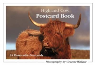 Book cover for Highland Cow Postcard Book