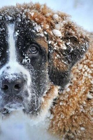 Cover of Saint St Bernard Dog Covered in Snow Journal