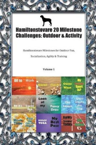 Cover of Hamiltonstovare 20 Milestone Challenges