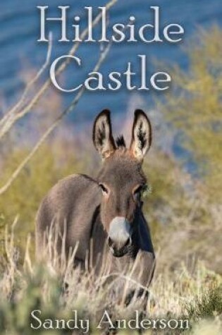 Cover of Hillside Castle