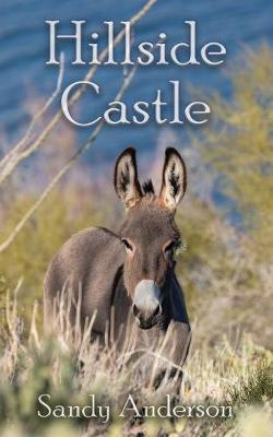 Book cover for Hillside Castle