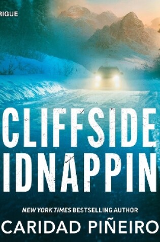 Cover of Cliffside Kidnapping