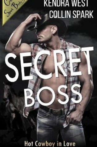 Cover of Secret Boss