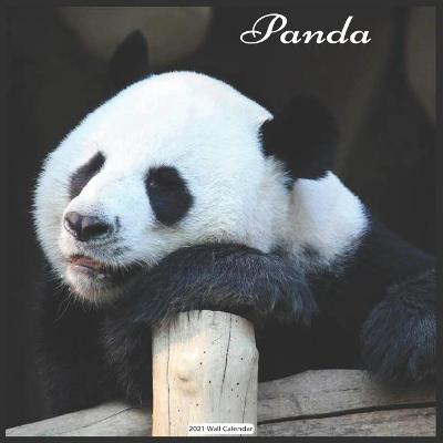 Book cover for Panda 2021 Wall Calendar