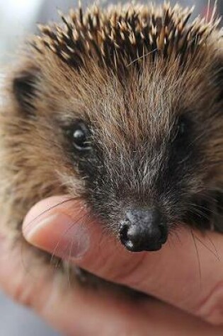 Cover of Holding a Tiny Cute Hedgehog Journal