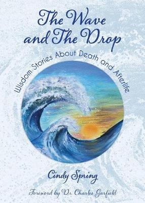 Book cover for The Wave and The Drop