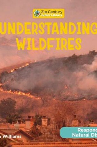 Cover of Understanding Wildfires