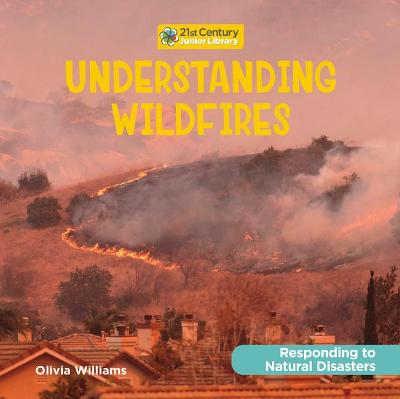 Cover of Understanding Wildfires