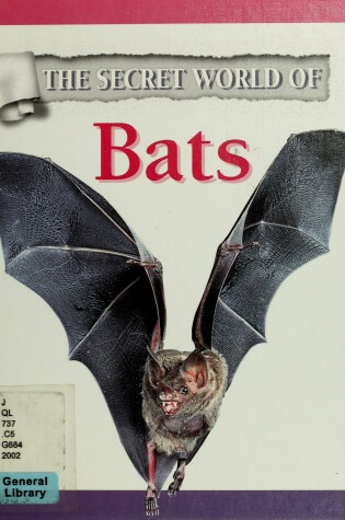 Cover of Bats *Secwor