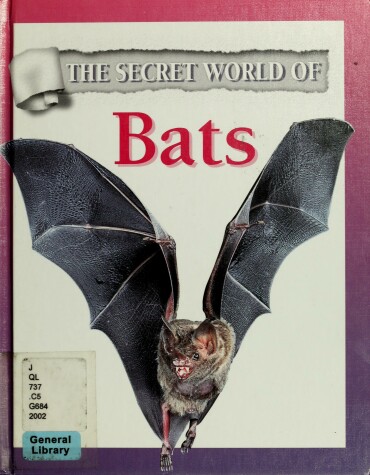 Cover of Bats *Secwor